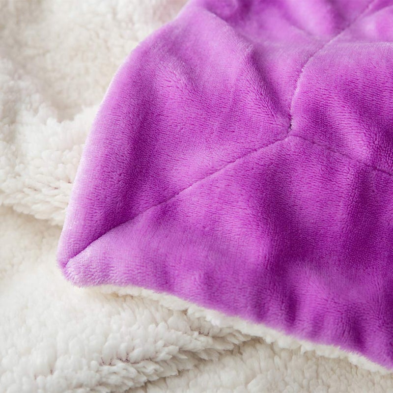 LBRO2M Sherpa Fleece Bed Blanket Twin Size Super Soft Fuzzy Plush Warm Cozy Fluffy Microfiber Couch Throw Velvet Double Reversible Luxurious Blankets,Purple - Image 5